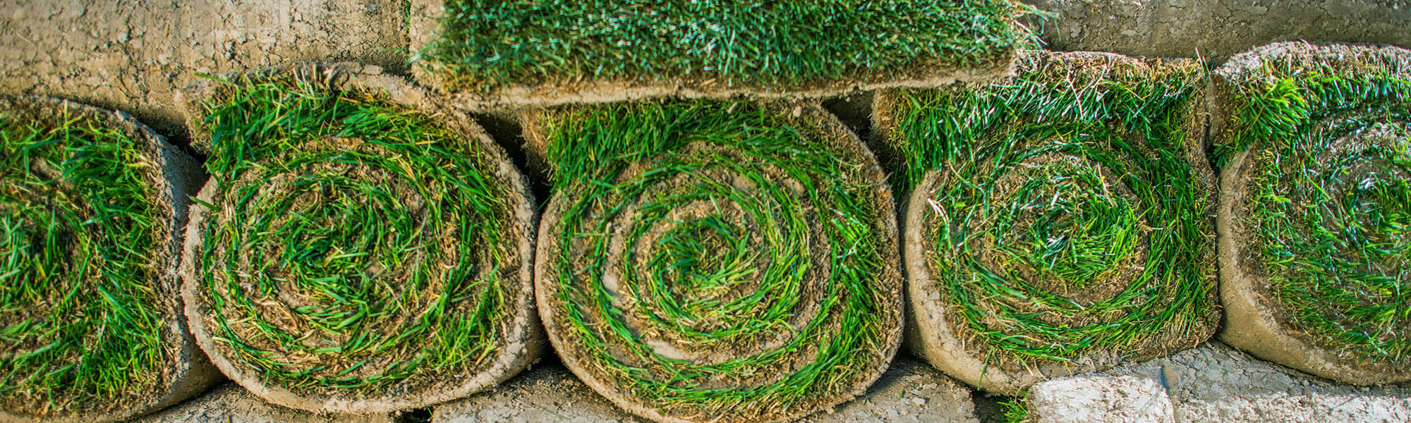 Salisbury Landscaping & Driveways image