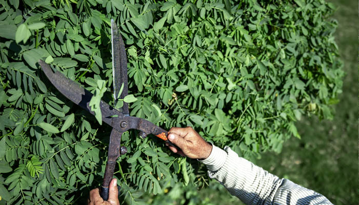 Salisbury Landscaping & Driveways image