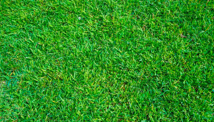 Salisbury Landscaping & Driveways image