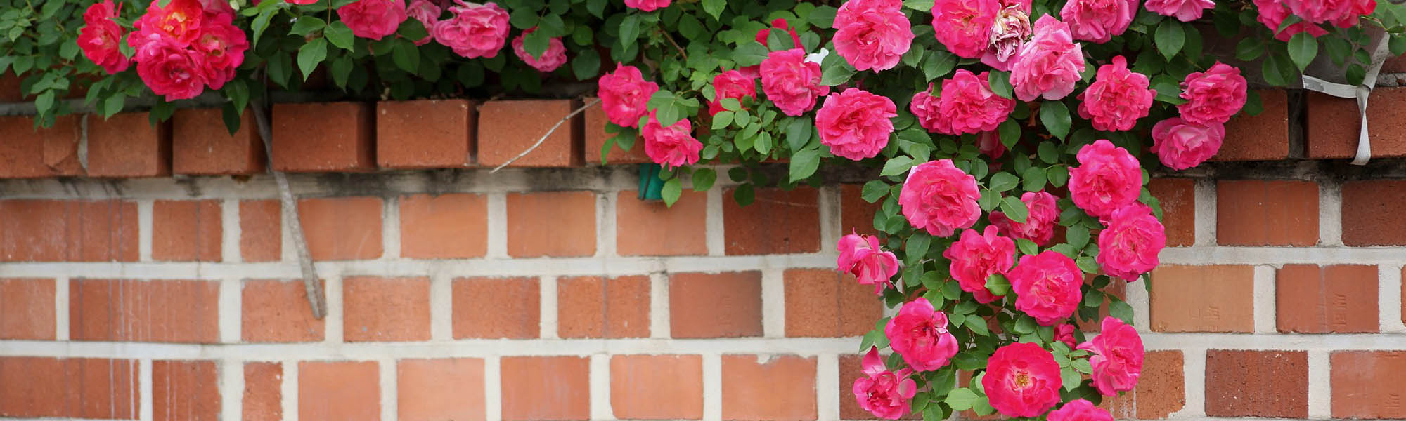 Salisbury Landscaping & Driveways image