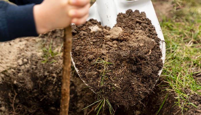 Salisbury Landscaping & Driveways image