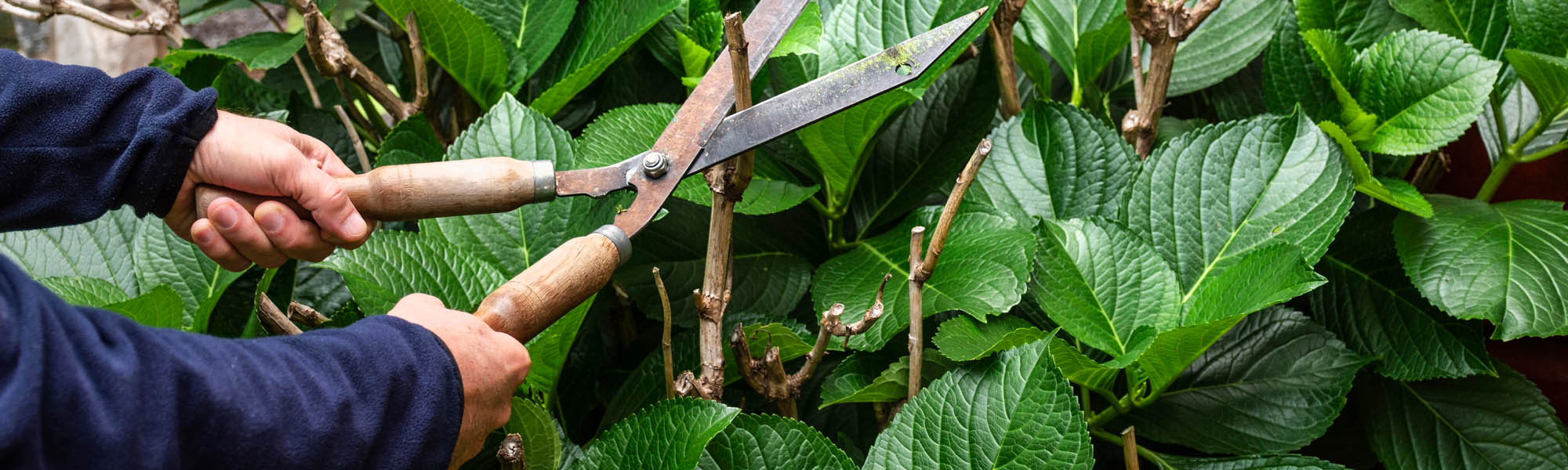 Salisbury Landscaping & Driveways image