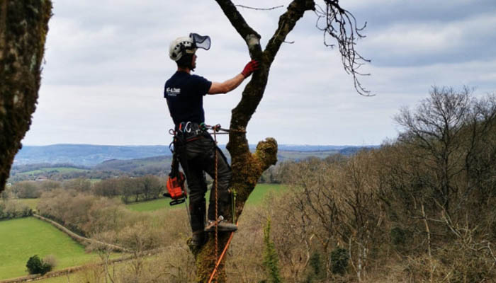 Salisbury Landscaping & Driveways image