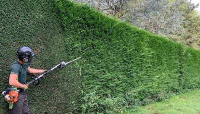 Salisbury Landscaping & Driveways image